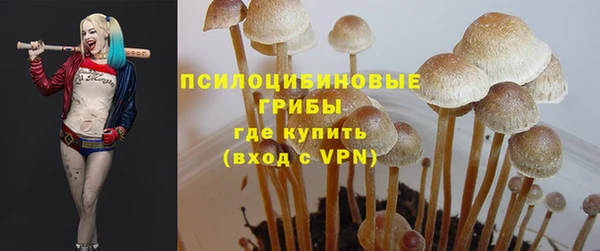 apvp Володарск
