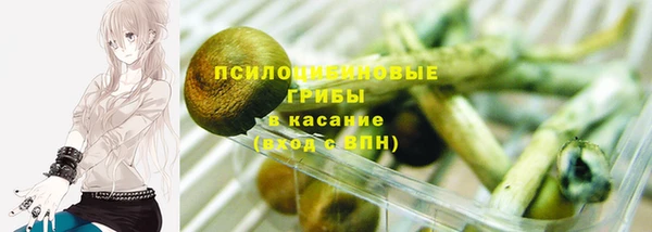 apvp Володарск