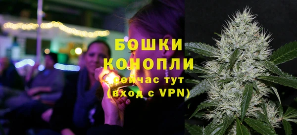 дмт Верея